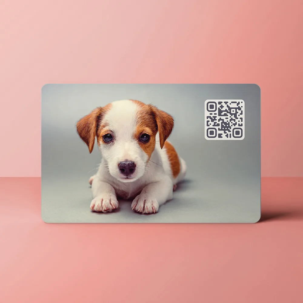 NFC Visitekaart Dog lover — de achterkant