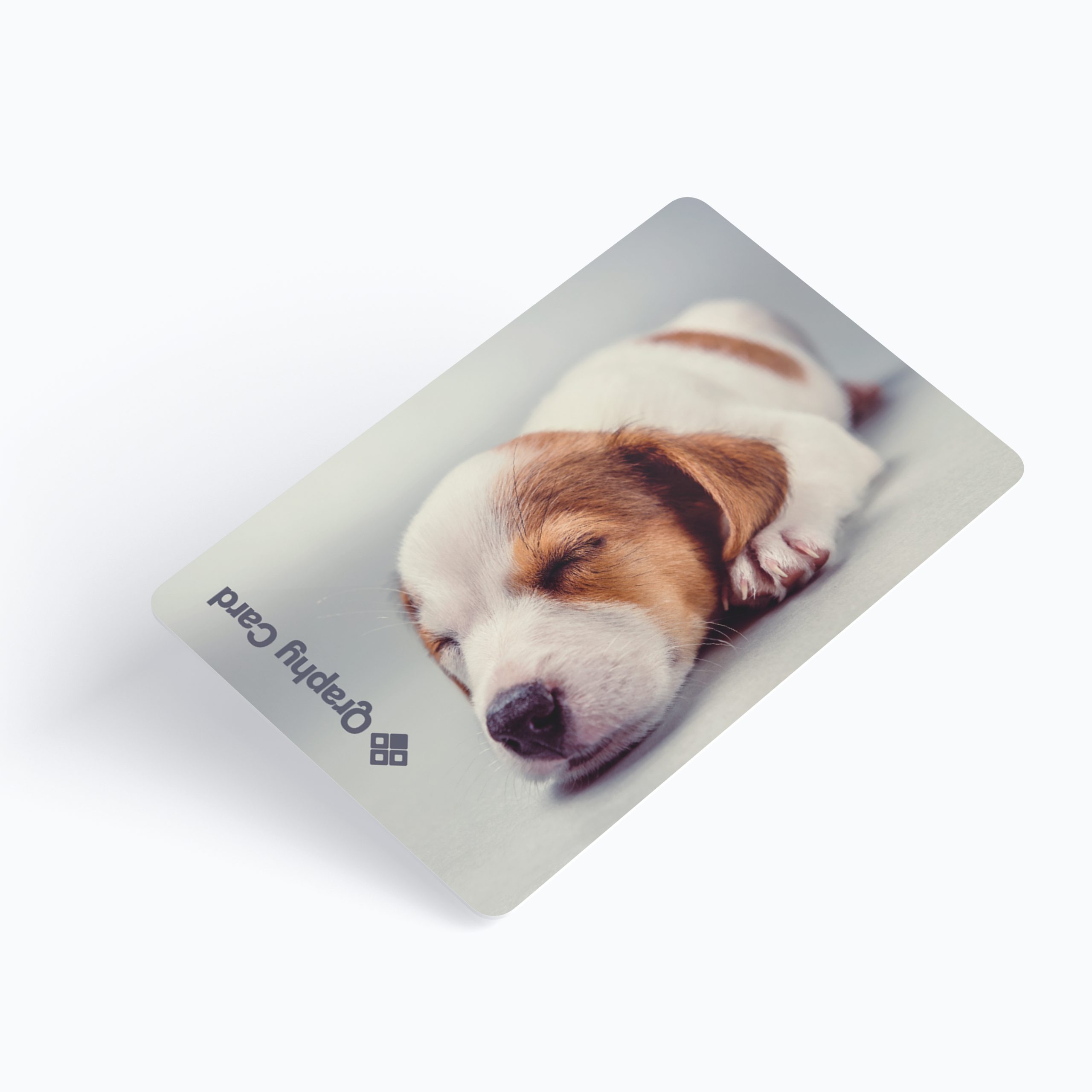 NFC Visitekaart Dog lover, foto 4