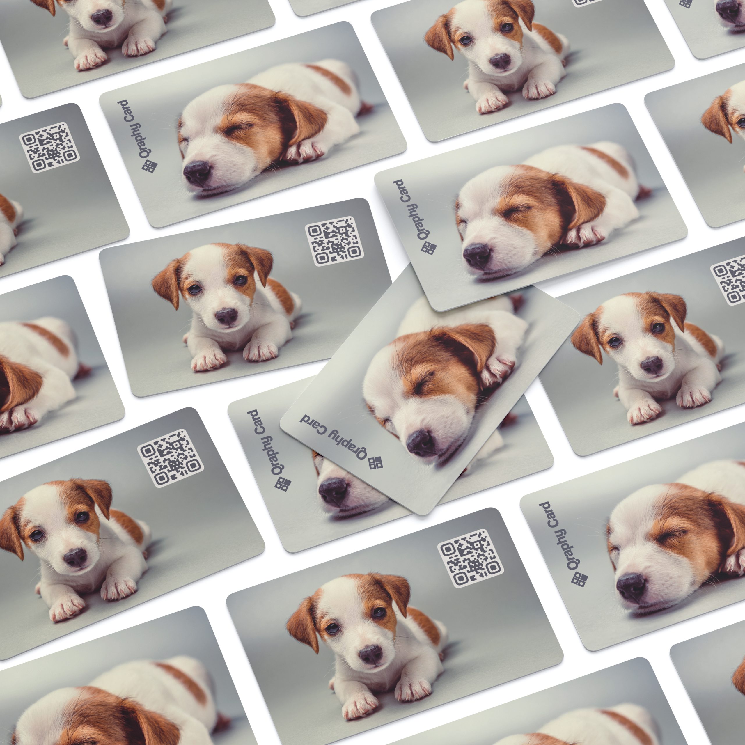 NFC Visitekaart Dog lover, foto 5